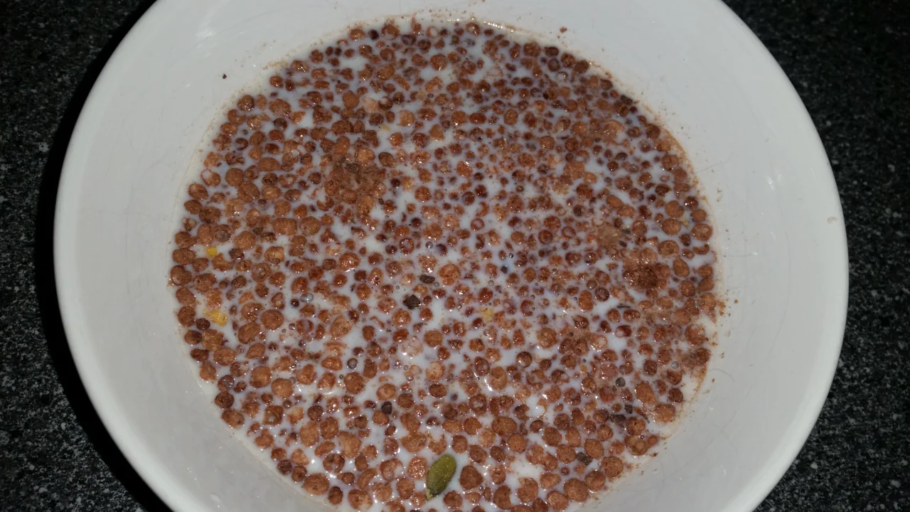 Ironmaxx Protein Müsli im Test