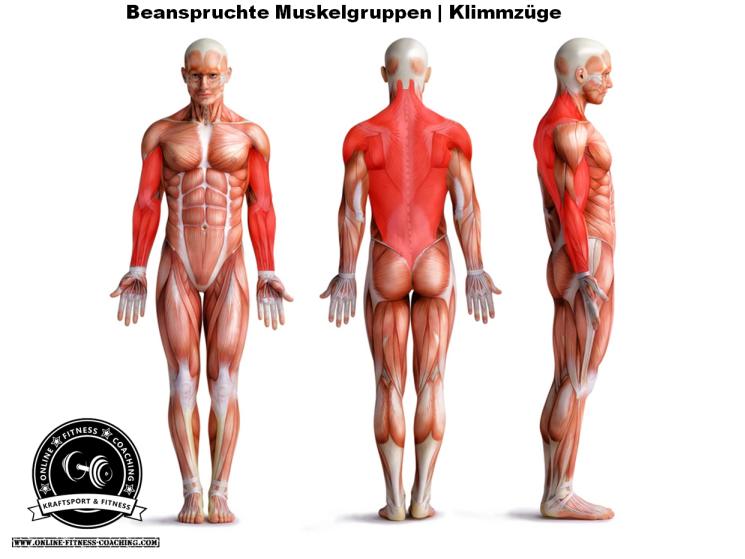 Klimmzüge | Technik und Ausführung